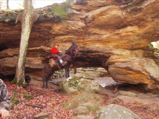 High Knob Equestrian Campground 6