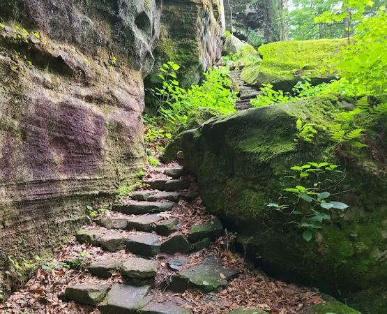 Pounds Hollow Recreation Area