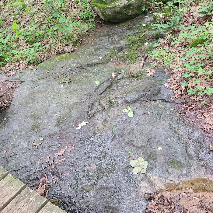 Pounds Hollow Recreation Area 7