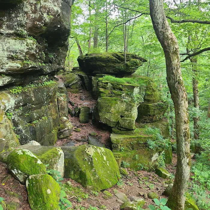 Pounds Hollow Recreation Area 9