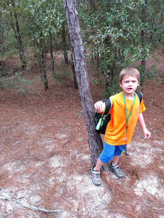 5 Lakes BOYSCOUT ONLY Campground 3