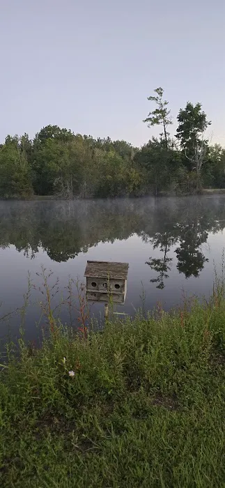 5 Lakes BOYSCOUT ONLY Campground 4