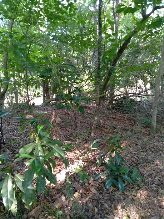 J & W Campground 9