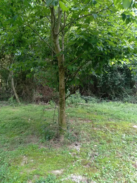 J & W Campground 7