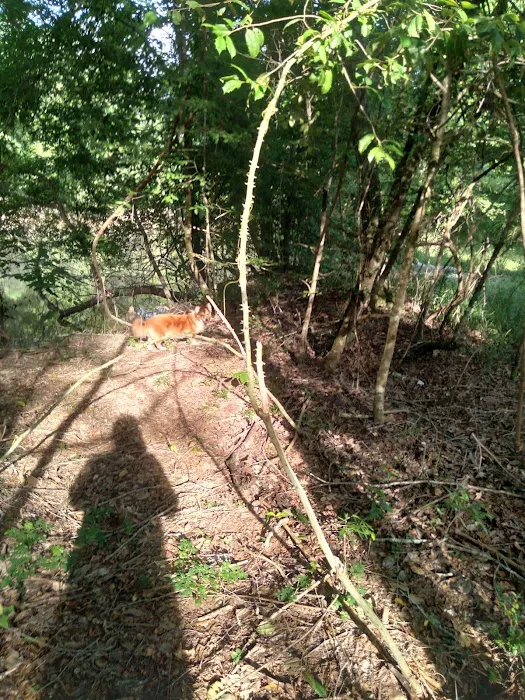 J & W Campground 2