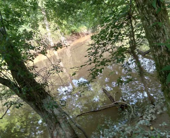 J & W Campground