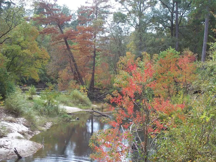 Tha River 5