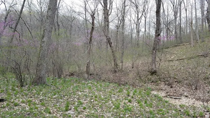 Turkey Pen Hollow Backpack Camp 1