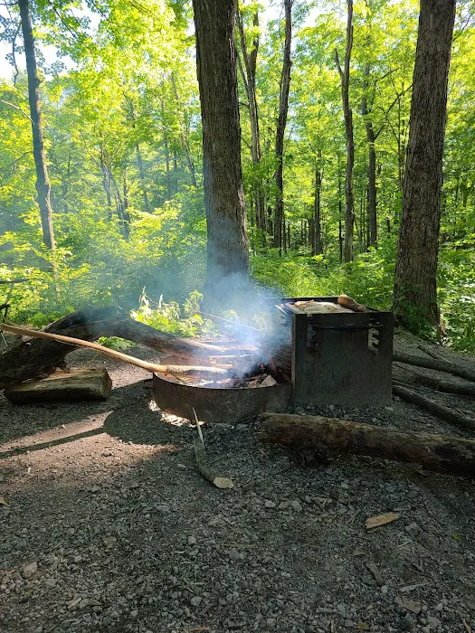 Mason Ridge Camping Area 1