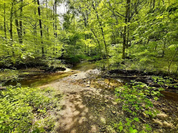 Mason Ridge Camping Area 7