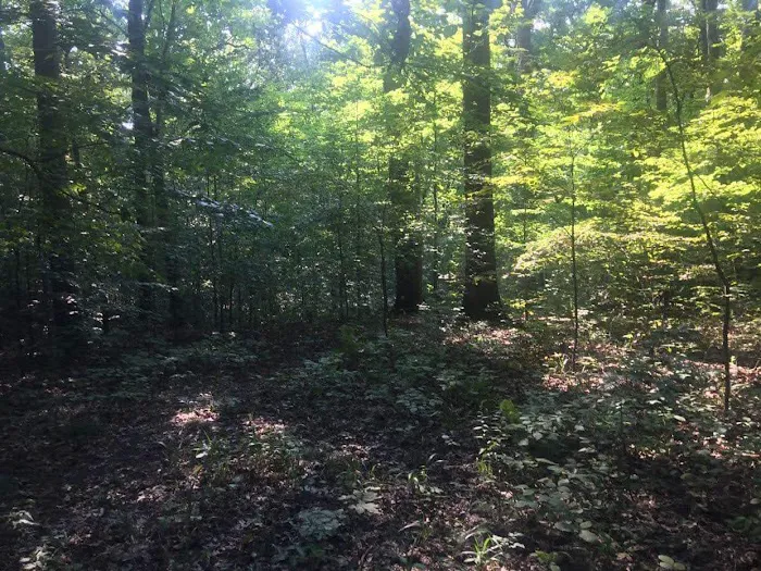 Scout Ridge Youth Campground 7
