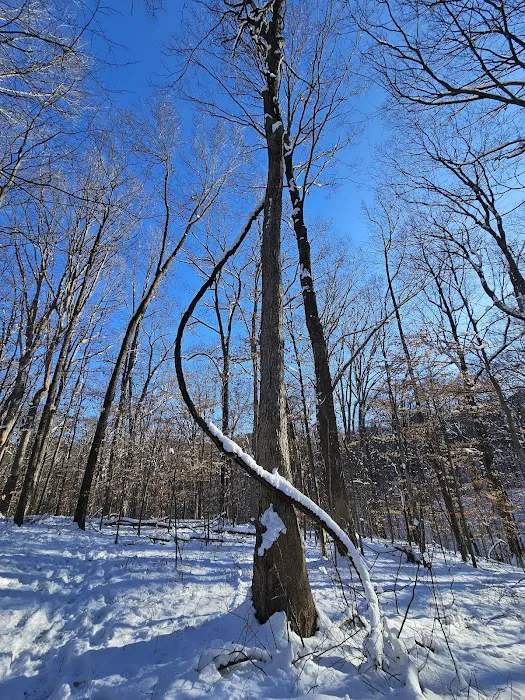 Scout Ridge Youth Campground 3