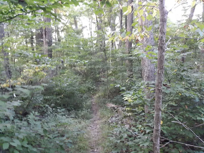 Scout Ridge Youth Campground 8