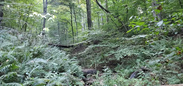 Scout Ridge Youth Campground 5