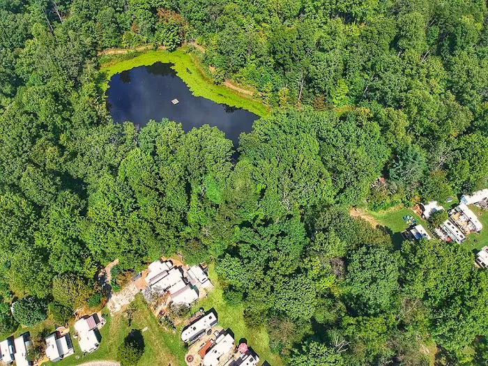 Camp Buckwood 7