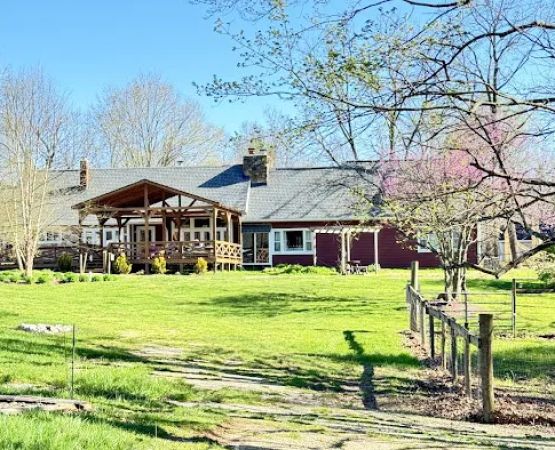 Camp Buckwood