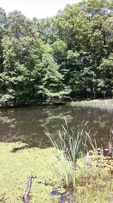 White Oak Loop 6
