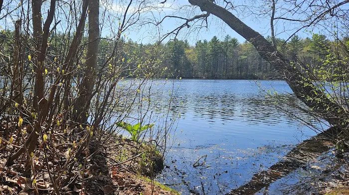 Hopeville Campground 7