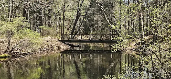 Hopeville Campground 8
