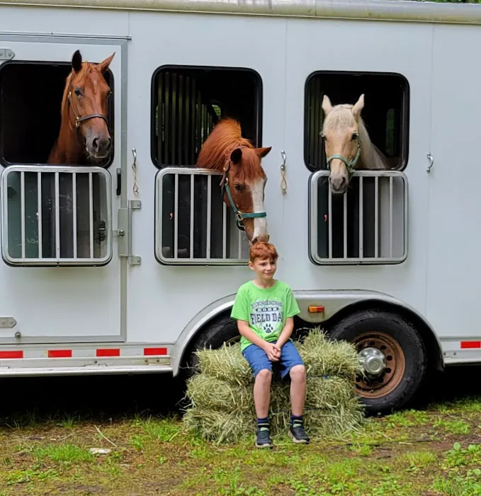 Frog Hollow Horse Camp 1
