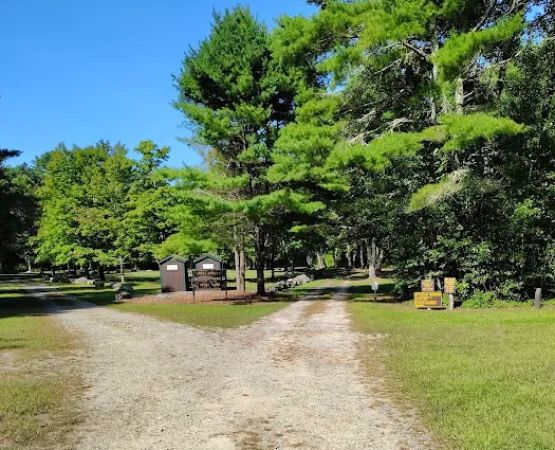 Frog Hollow Horse Camp