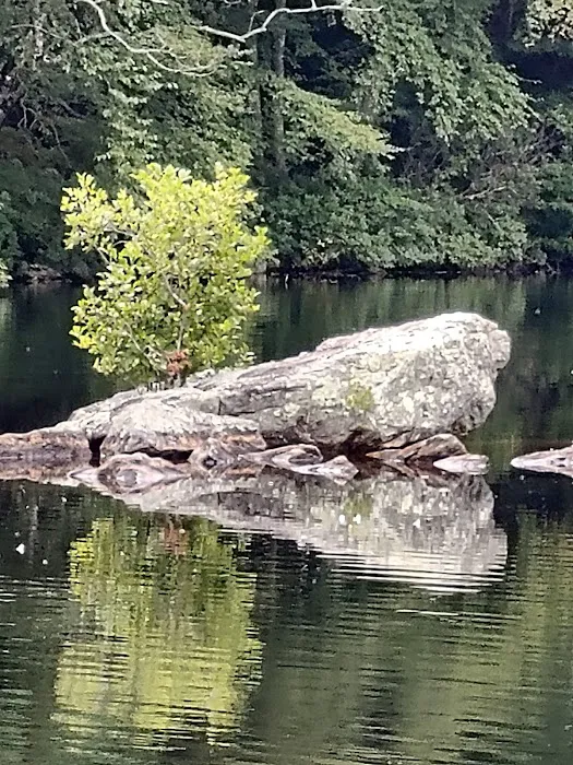 Green Fall Pond Campground 0