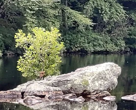 Green Fall Pond Campground