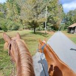 Silvermine Horse Campsite