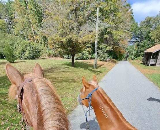 Silvermine Horse Campsite