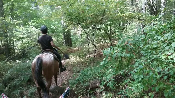Silvermine Horse Campsite 7