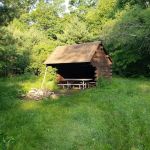 Great Lyons camping area shelter