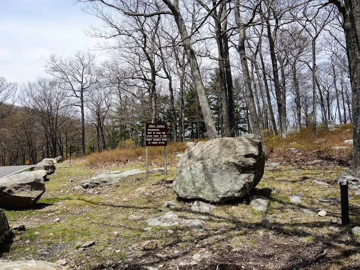 Tiorati Plateau Campground (Reservation Required) 0