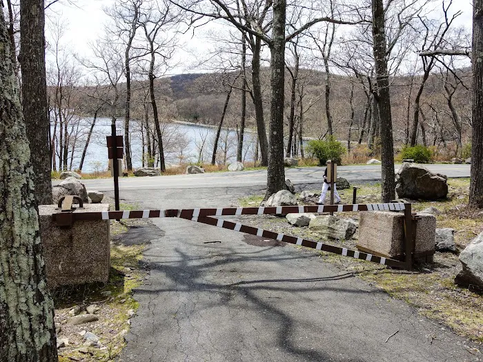Tiorati Plateau Campground (Reservation Required) 1