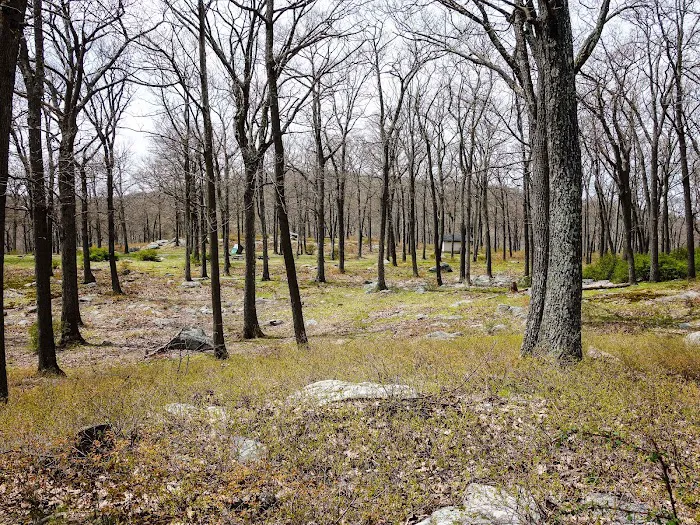 Tiorati Plateau Campground (Reservation Required) 5