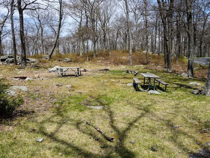 Tiorati Plateau Campground (Reservation Required) 3