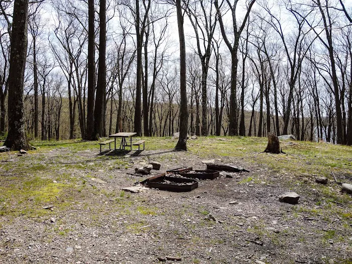 Tiorati Plateau Campground (Reservation Required) 4