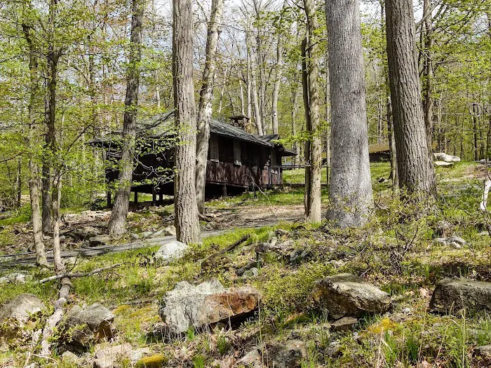 Camp Homeward Bound 8