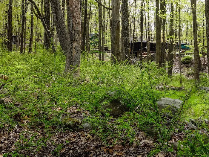 Masonic Camp (K20) 4
