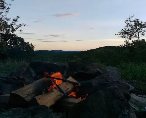 Tom Jones Shelter
