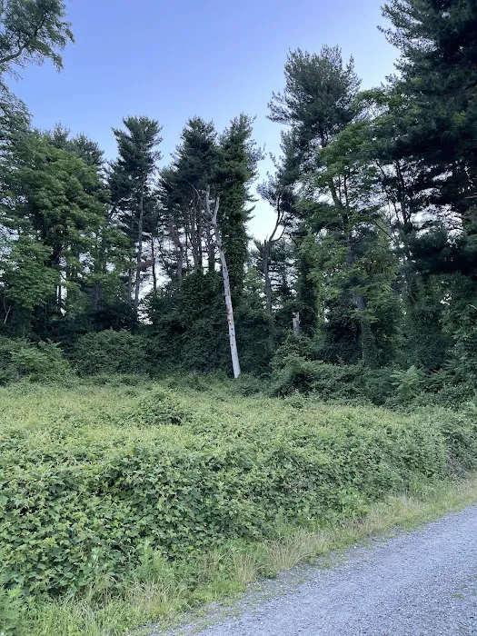 Croton Point Park Tent Camping Area 7