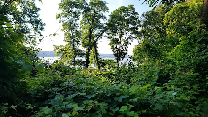 Croton Point Park Tent Camping Area 2