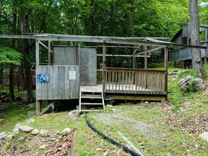 Camp Eureka 1