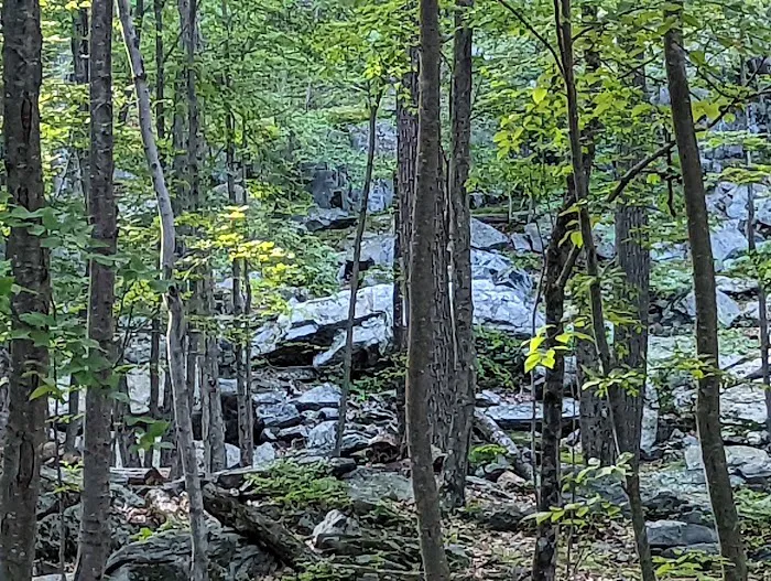 Agatha A. Durland Scout Reservation 1