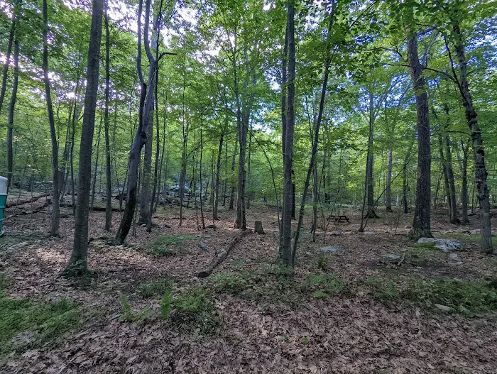Agatha A. Durland Scout Reservation 5