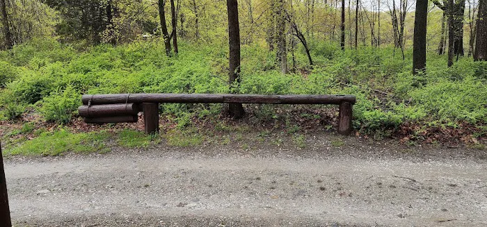 Agatha A. Durland Scout Reservation 2