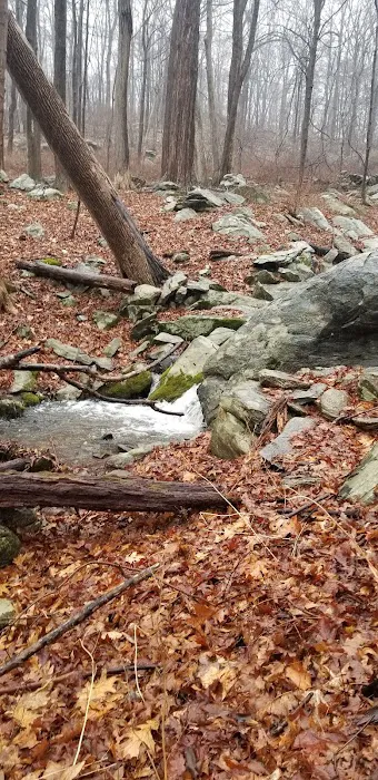 Agatha A. Durland Scout Reservation 7