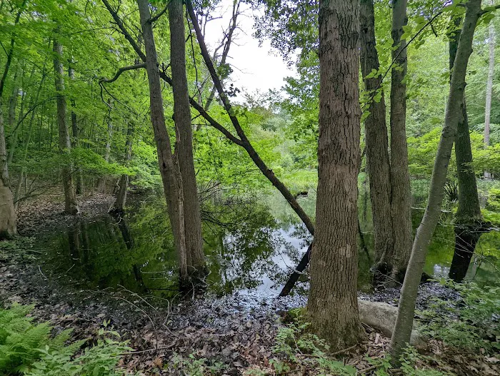Agatha A. Durland Scout Reservation 9