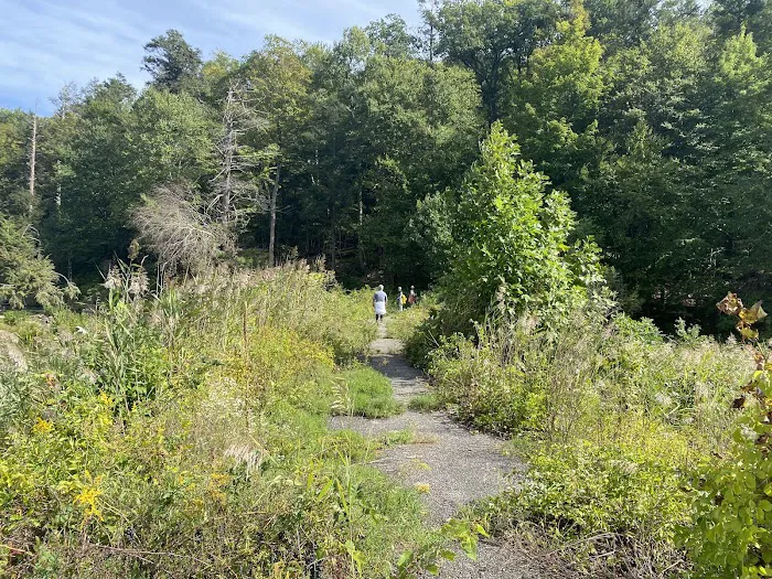 Fahnestock State Park Campground 3