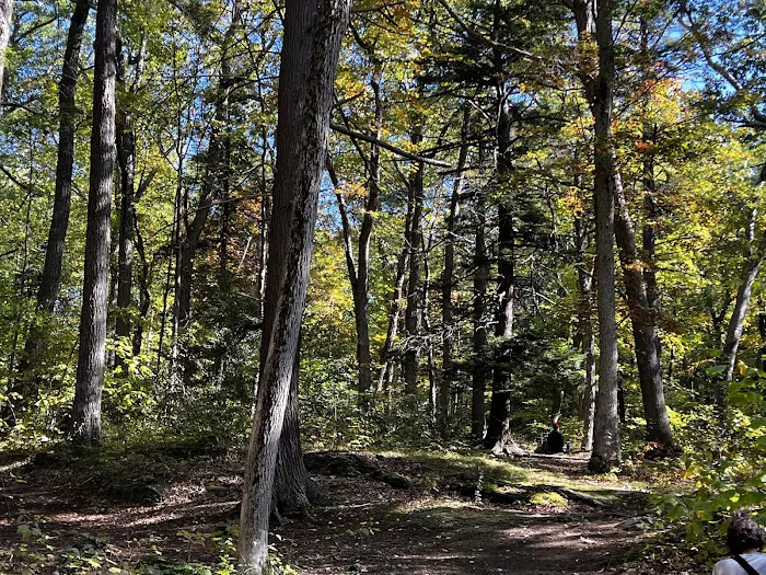 Fahnestock State Park Campground 8