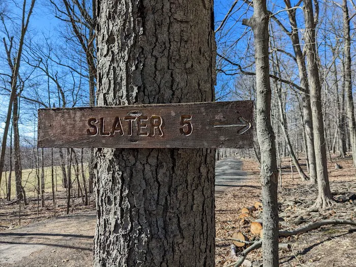 Slater 6 Lean-tos 6